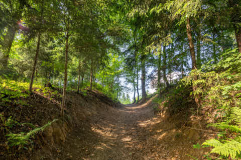 Gemeinde Töging Landkreis Altötting Engfurt Enfurter Kreuzweg (Dirschl Johann) Deutschland AÖ
